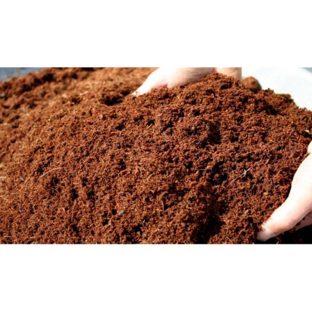 Egzotik Bahçe 10 Lt Cocopeat-Hindistan Cevizi Torfu - Yok Bitki Fiyatı