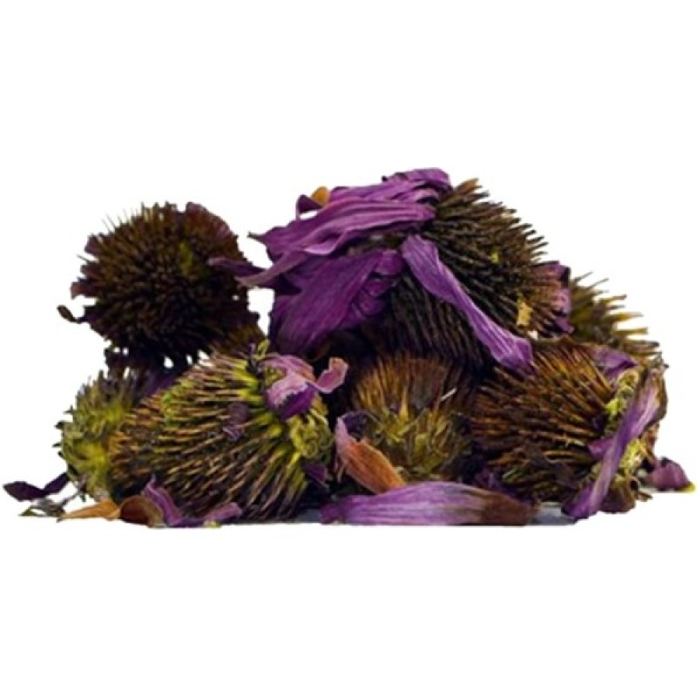 Ekinezya (100 Gr) - 100 gr Oto Boyaları Fiyatı