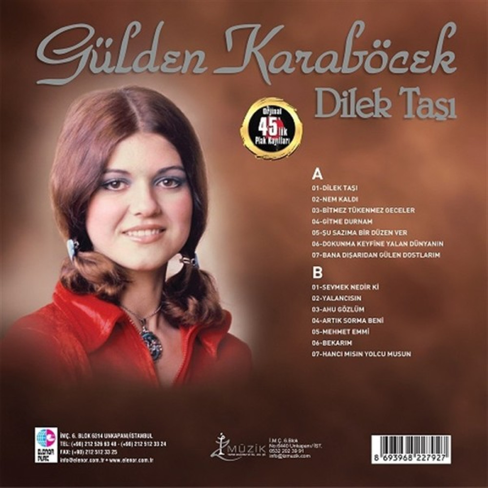 Elenor Plak Gülden Karaböcek / Dilek Taşı (PLAK) Pikap & Aksesuarları Fiyatı