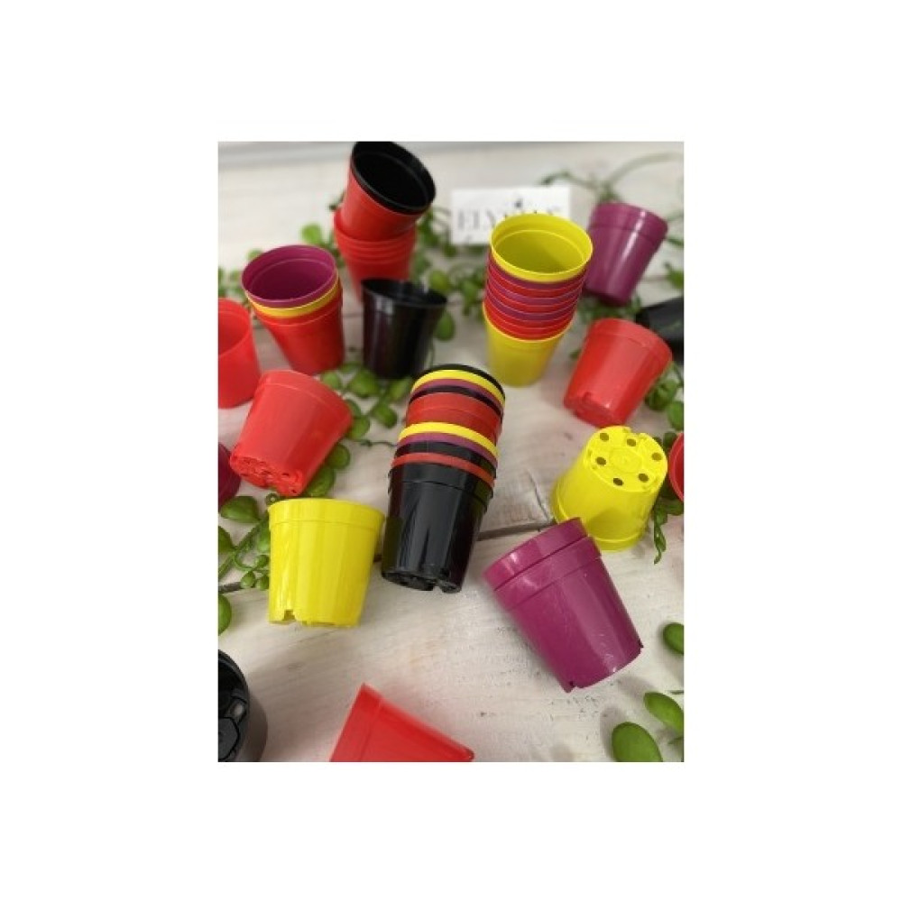 Elysian Üretim Saksı 20 Adet Küçük Kaktüs Sukulent Üretim Saksısı 5,5x5 cm Rengarenk Renkli Plastik Saksı Saksı ve Aksesuarları Fiyatı