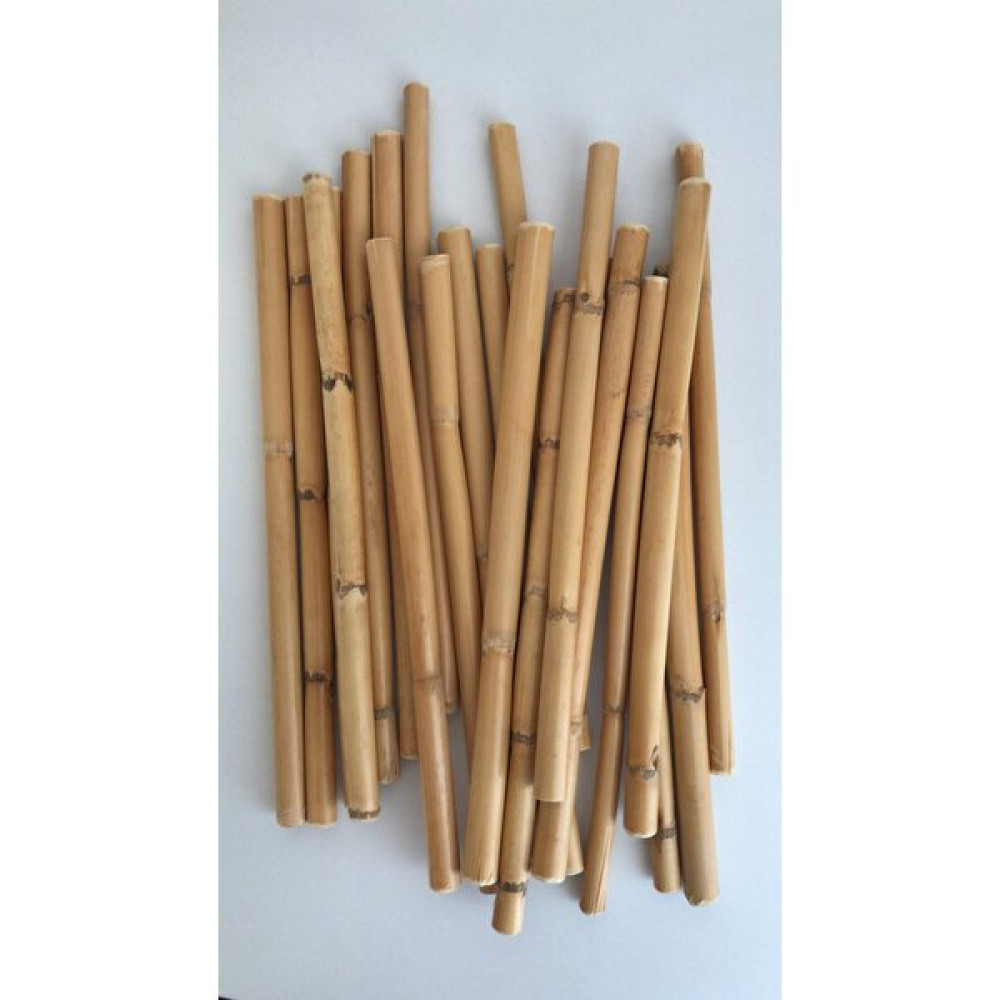 Emily Samy Bambu 12Lİ 10 cm - Doğal Ahşap Bahçe Dekorasyon & Düzenleme Fiyatı
