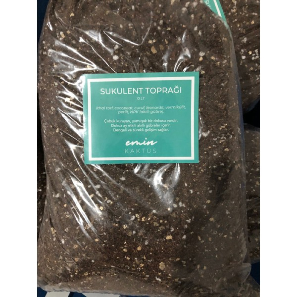 Emin Kaktüs 10 Litre Sukulent Toprağı / Özel Karışım / 10 Kaktüs Tohumu 20 - 40 cm Bitki Fiyatı