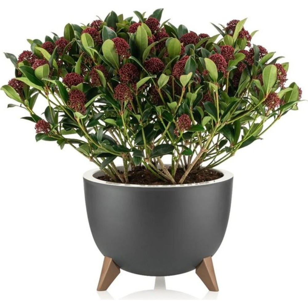 EminHome Alya Plastik Ufo Ayaklı Saksı Büyük Boy 32X24 cm 10 Lt Saksı ve Aksesuarları Fiyatı