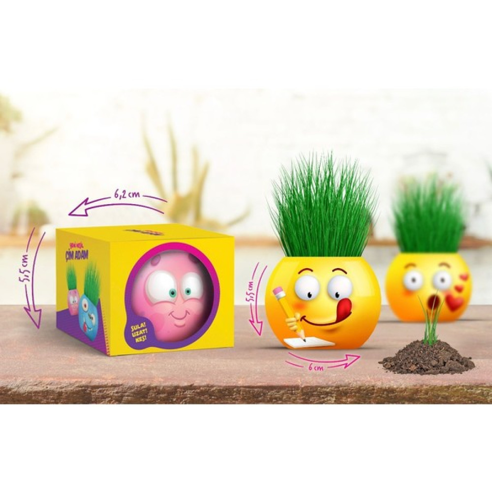 Emoji Karakterli Çim Adam ~ Kutulu ~ Oyuncak Fiyatı