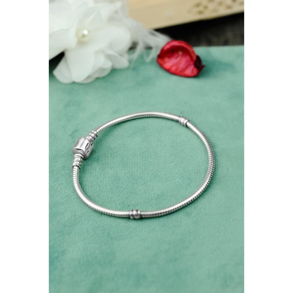 Encili Silver 925 Ayar Gümüş Pandora Model Kadın Bileklik Saat ve Bileklik Aksesuarı Fiyatı