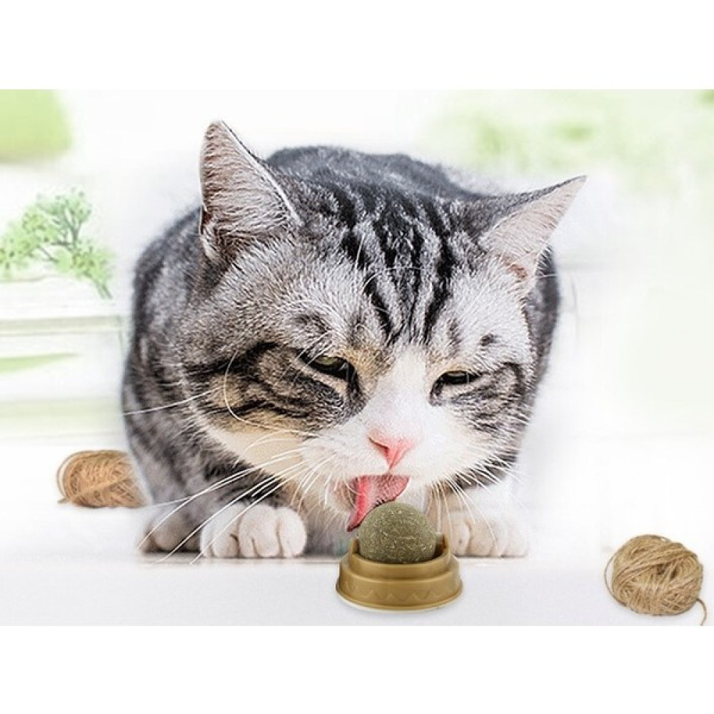 ENDY Kedi Otu Oyun Topu Cat Mint Evcil Hayvan Ürünleri Fiyatı