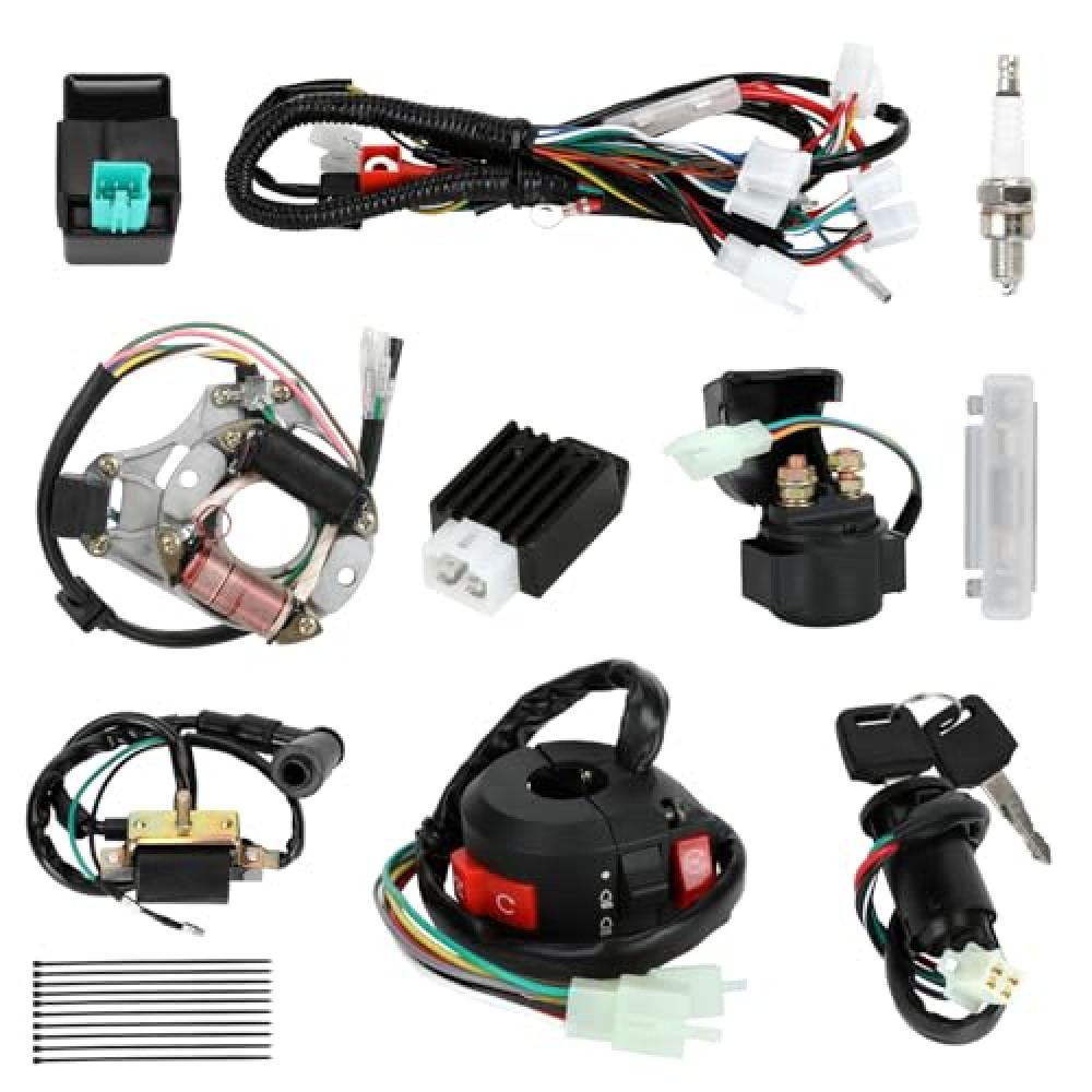EOPOAYI Complete Wiring Harness Kit Compatible with Tao tao Coolster 110cc 125cc Chinese ATV Quad 4 Wheeler 4 Stroke Parts with Starter Solenoid Relay Ignition Coil Stator Voltage Regulator CDI Box