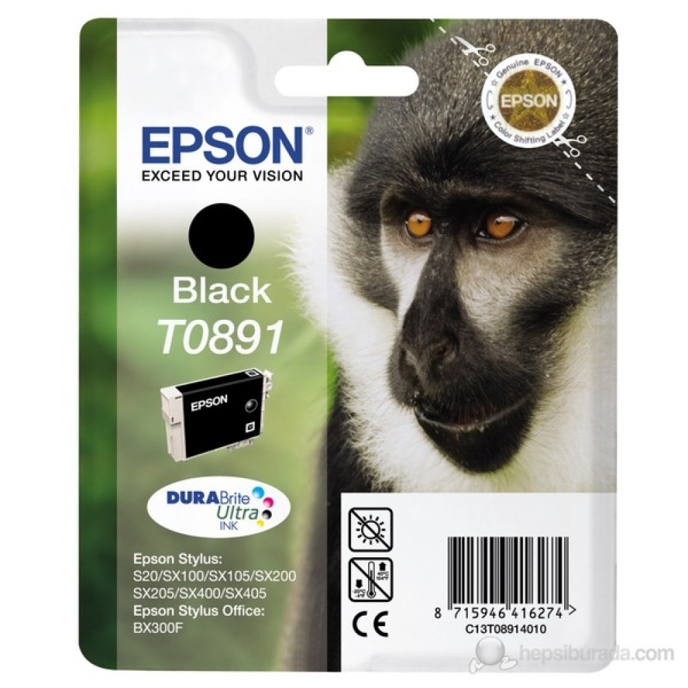 Epson SX20/SX100 Seri C13T08914021 / T0891 Mürekkep Kartuş Oto Boyaları Fiyatı