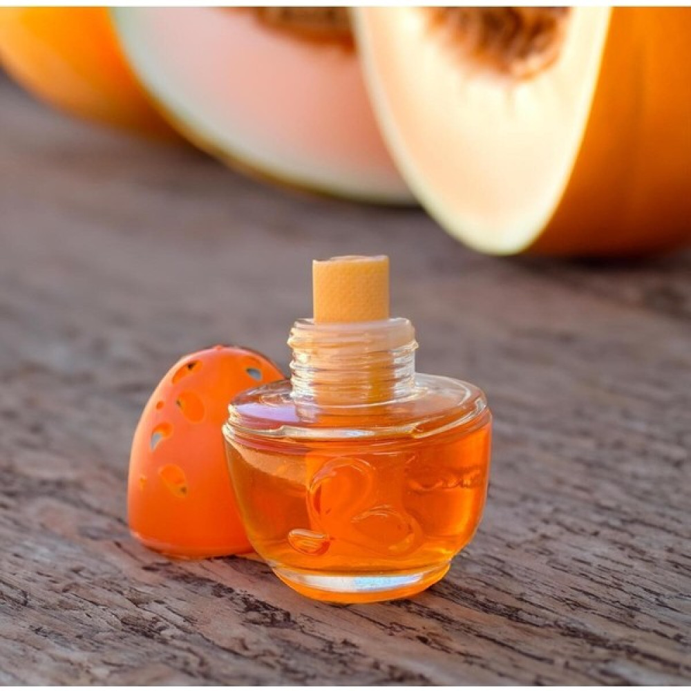 Eraks Car Accesories Kavanoz Koku Mango Aromalı 100 ml Oto Boyaları Fiyatı