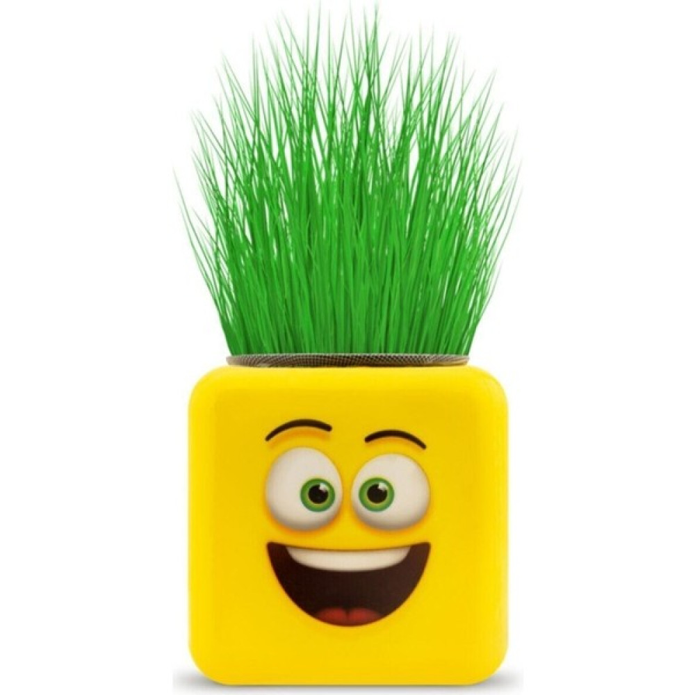 Erbay Çimoji Yeni Nesil Emoji Küp Çim Adam - 24 Adet - Renkli Eğitici Oyuncak Fiyatı