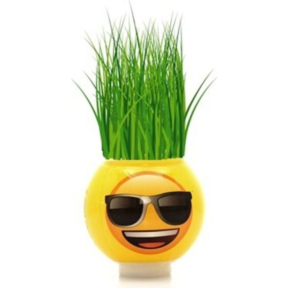 Erbay Emoji Çim Adam Bitki Fiyatı
