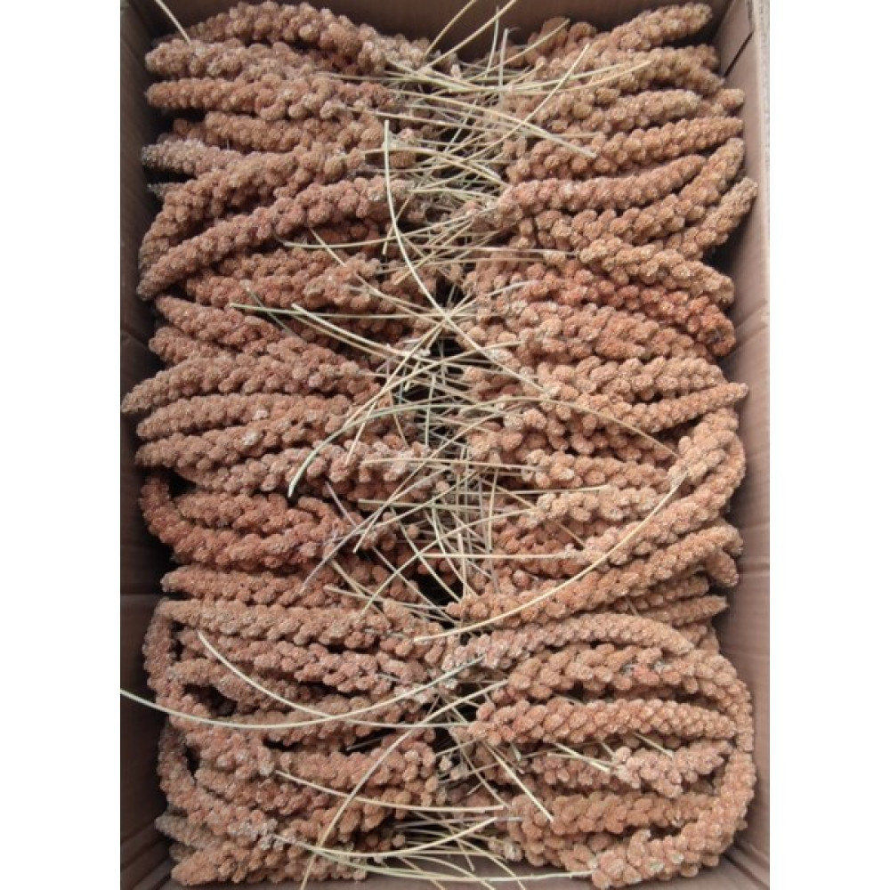 Eren Pet Doğal Üretim Kızıl Dal Darı 1 Kg. (1000 Gr.) Evcil Hayvan Ürünleri Fiyatı