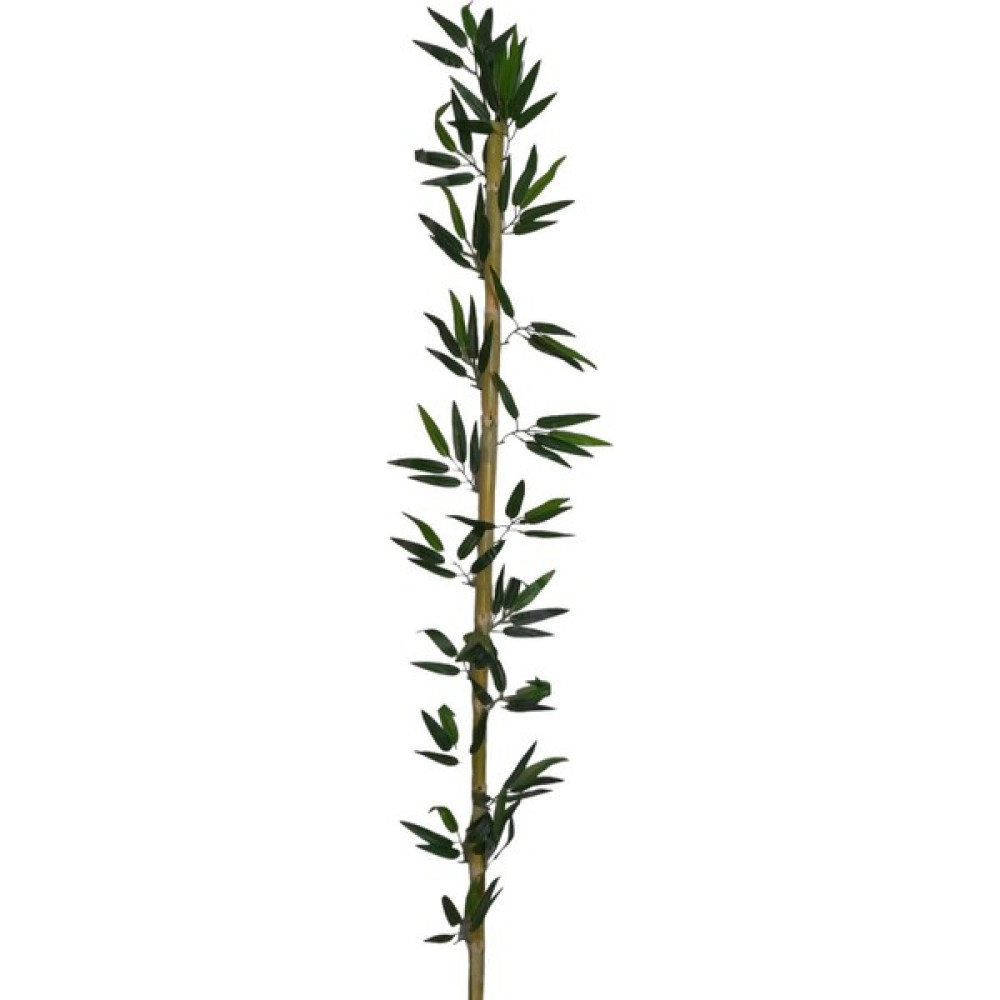 Erhan Flowers 1 Adet 200 cm Bambu Çubuk Ev & Dekorasyon Aksesuarları Fiyatı