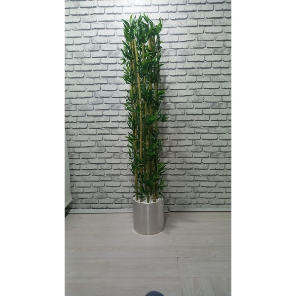 Erhan Flowers 30X30 Metal Şık Saksıda 10ADET 180 cm Bambu - Yeşil Ev & Dekorasyon Aksesuarları Fiyatı