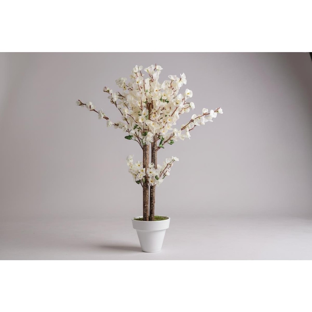 Erhan Flowers Yapay Salon Çiçegi Yapay Ağaç Beyaz Bahar Dalı 160 cm Beyaz Plastik Saksı Saksı ve Aksesuarları Fiyatı