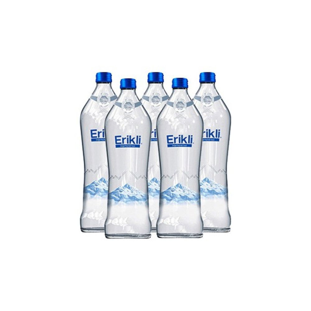Erikli Cam Şişe 0.33 ml 12'li Paket Su Diğer Fiyatı