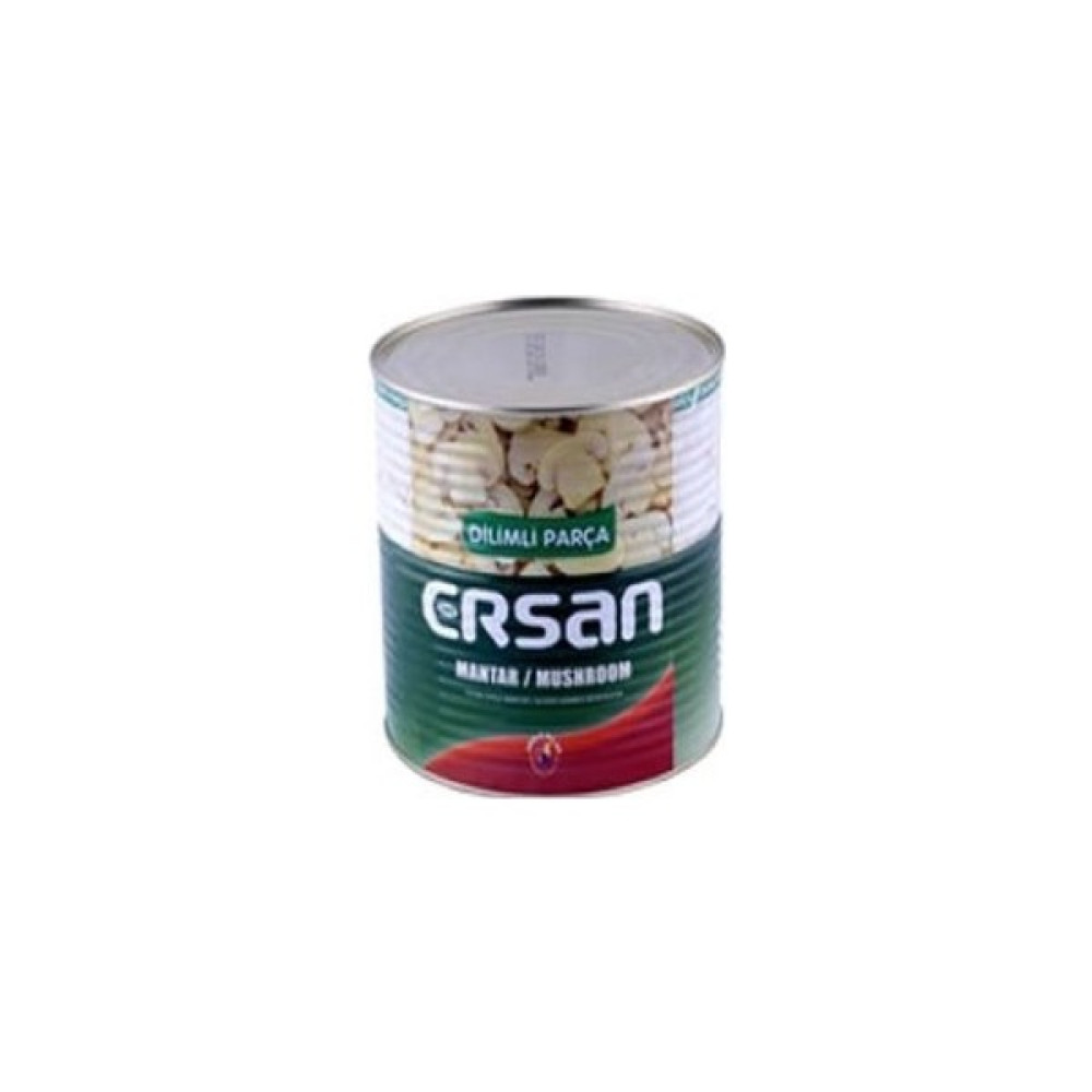 Ersan Dilimli Mantar Konservesi 2,640 kg - 2,6 kg Oto Boyaları Fiyatı
