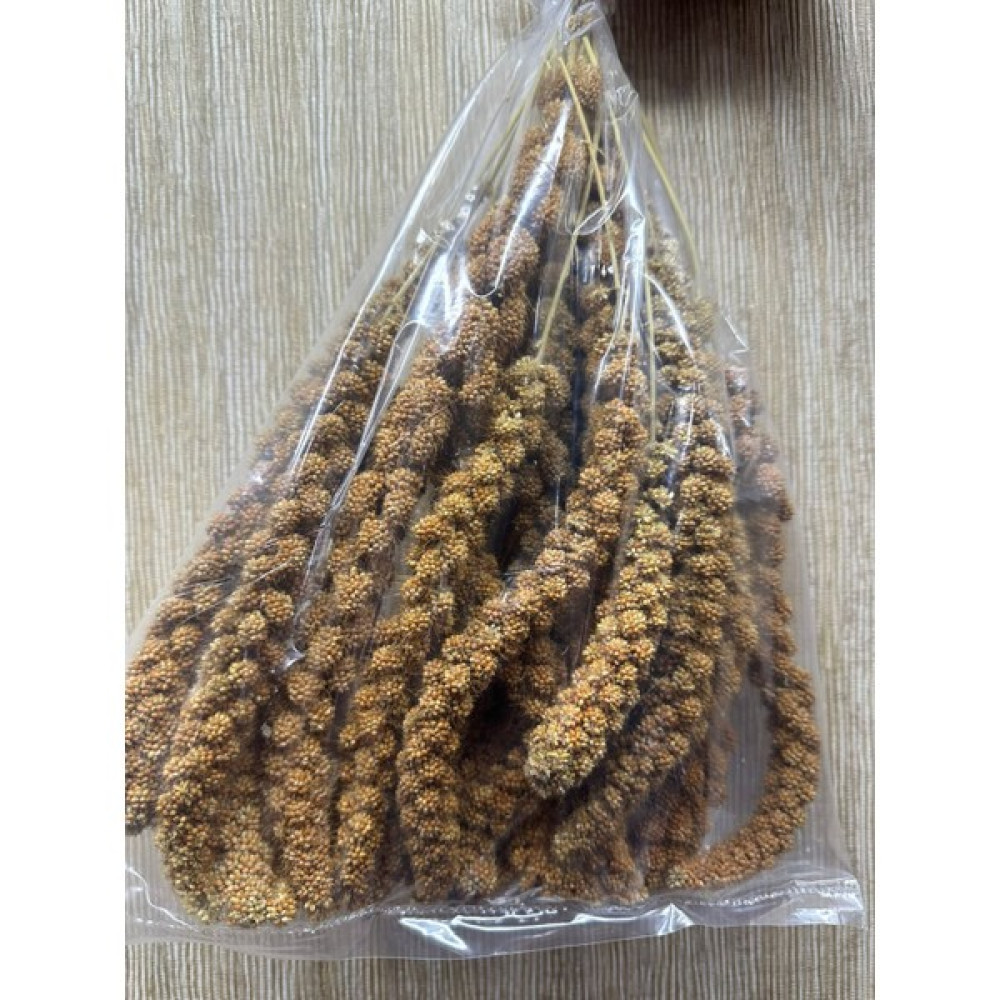 Ertargın Shop 500 gr Kızıl Dal Darı Evcil Hayvan Ürünleri Fiyatı