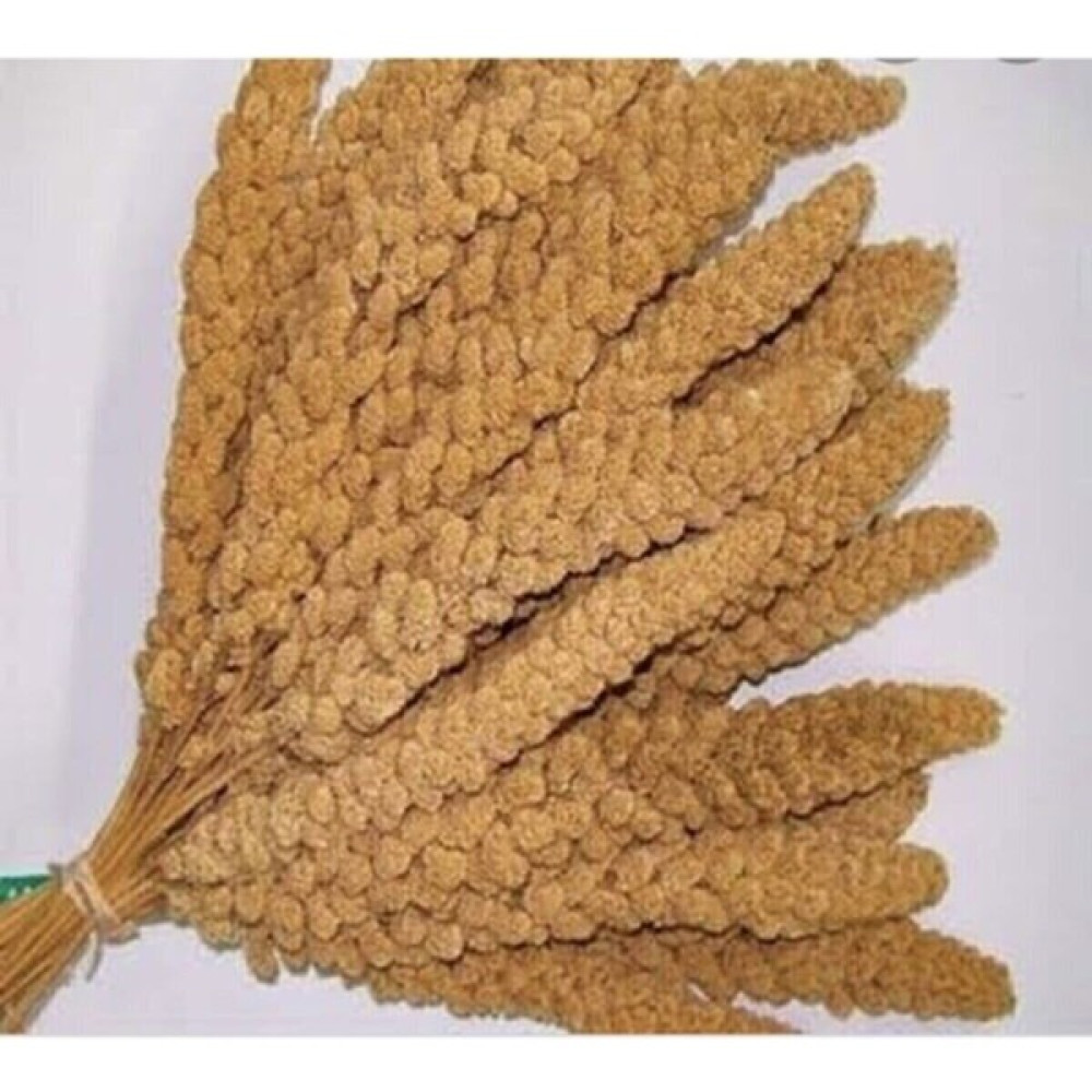 Erva Tohum Dal Darı-Doğal Sarı Daldarı Kuş Yemi 1 kg Evcil Hayvan Ürünleri Fiyatı