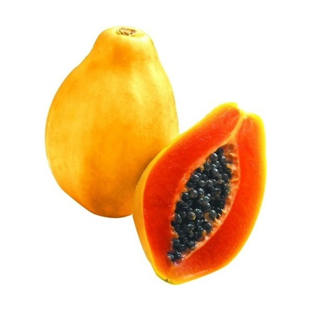 Erva Tohum Tropikal Meyve Papaya Ağacı Tohumu 3'lü - 3 Adet Tohum Fiyatı