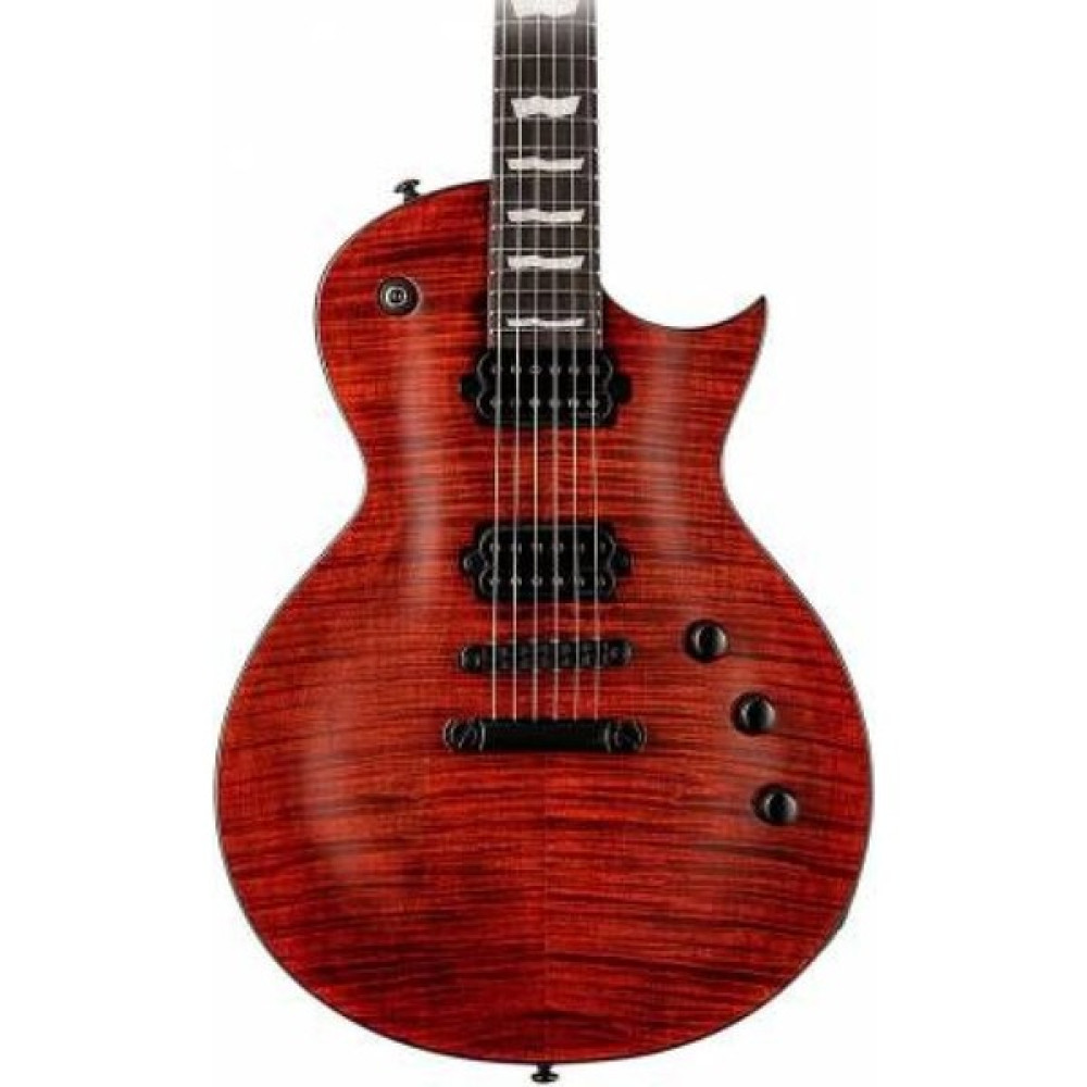 Esp LTD EC-1001 Fm Fluence Tiger Eye Elektro Gitar Oto Boyaları Fiyatı