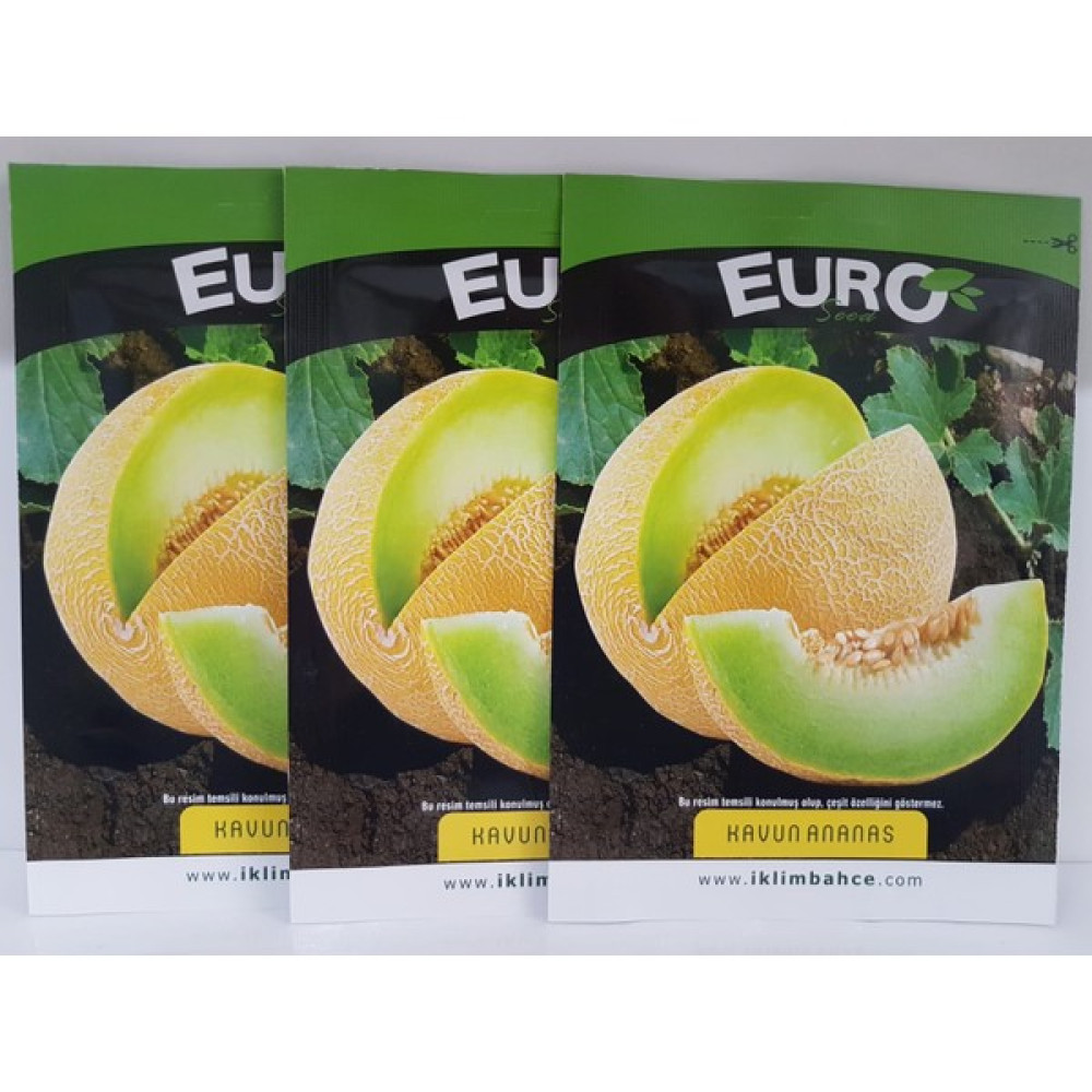 Euro Ananas Kavun Tohumu 3 Adet Oto Boyaları Fiyatı