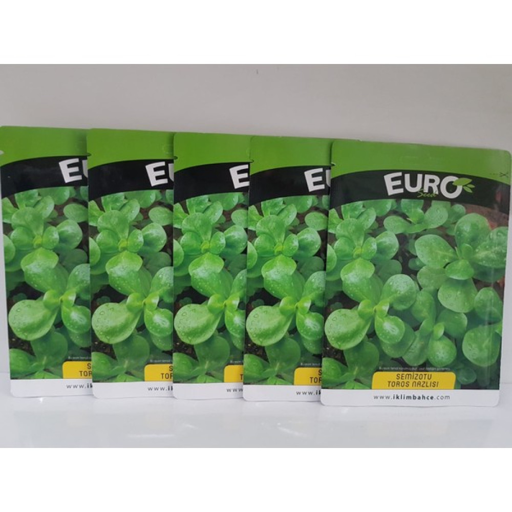 Euro Tohum Semizotu Tohumu 5 Adet Oto Boyaları Fiyatı