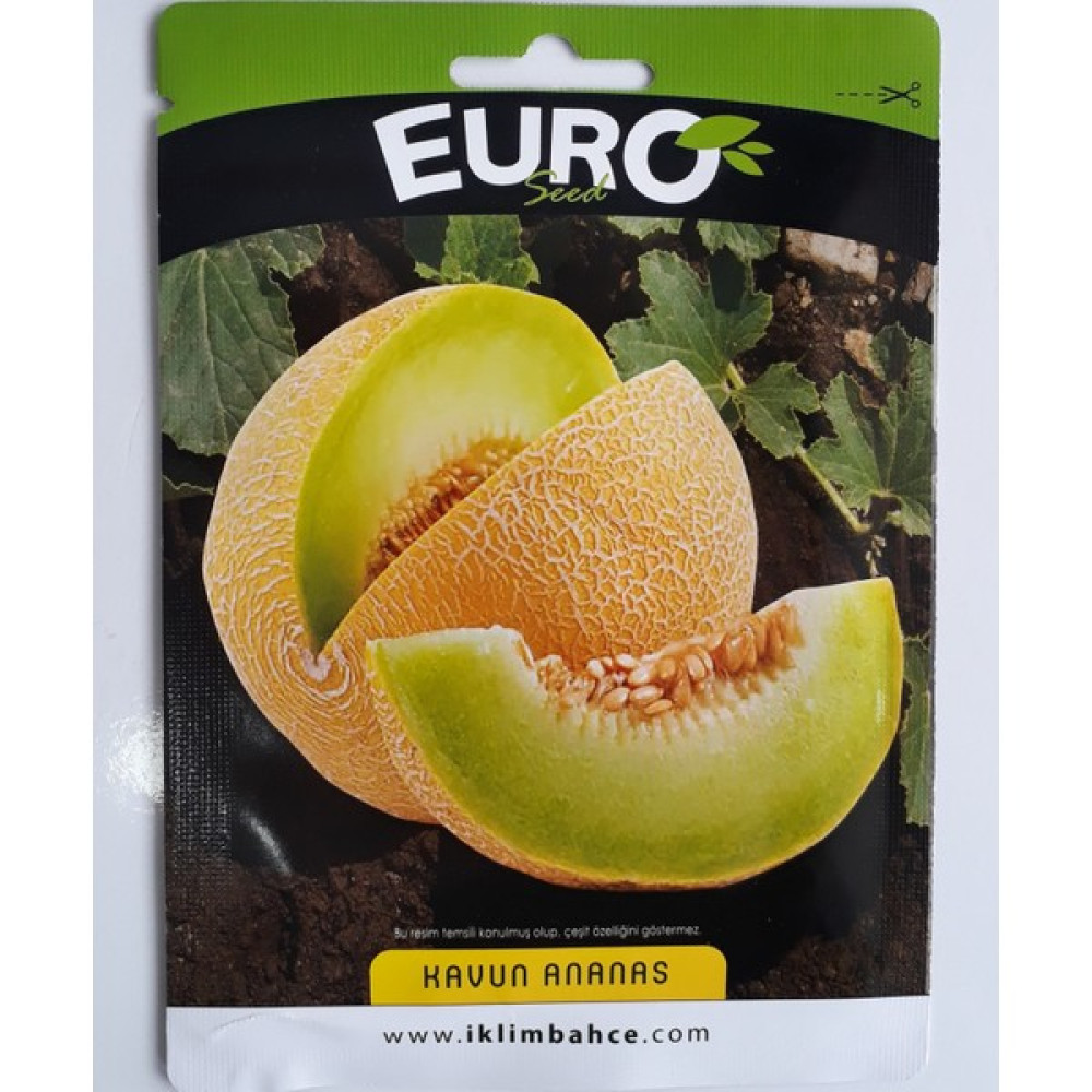 Euroseeds Ananas Kavun Tohumu - 1 Adet Oto Boyaları Fiyatı