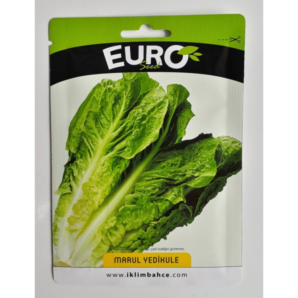 Euroseeds Marul Tohumu - 1 Adet Oto Boyaları Fiyatı