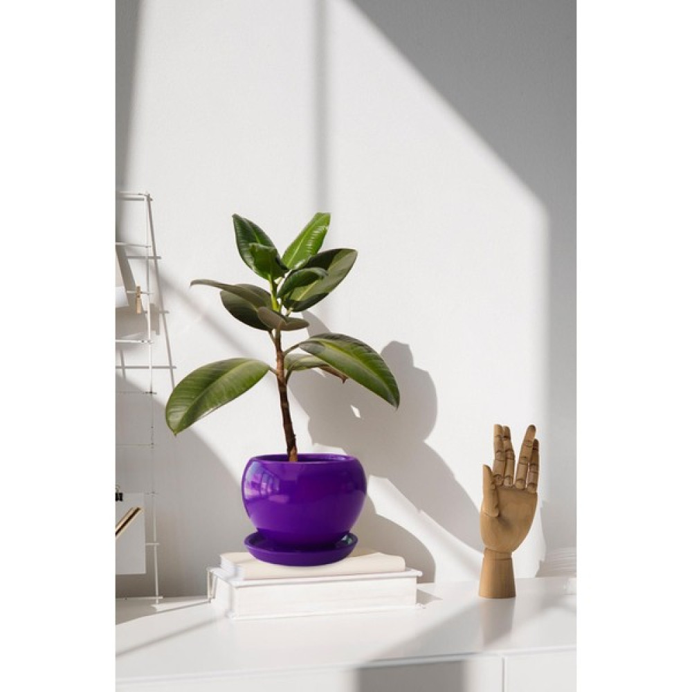Evdek Tabaklı Mor Tombul Çömlek Saksı 22X21 cm Oto Boyaları Fiyatı