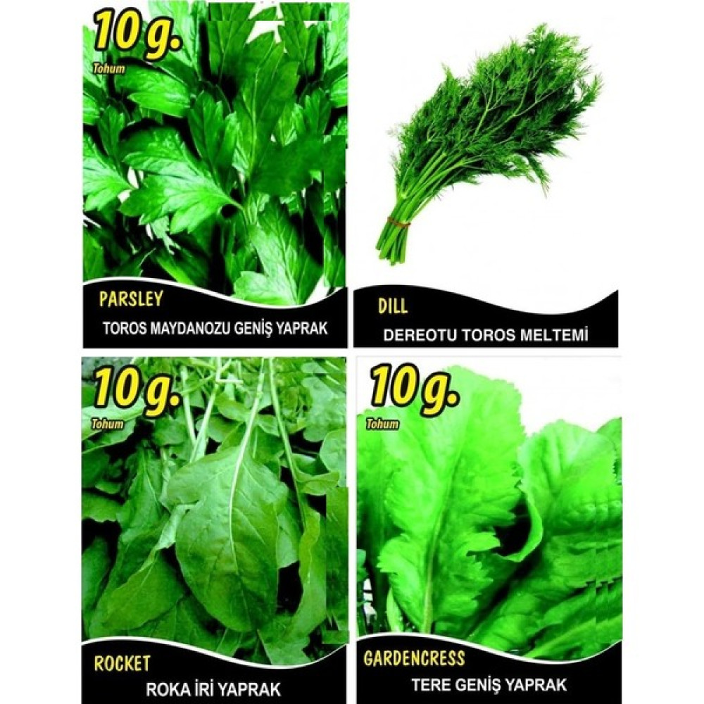 Evdeki Bahçem Yeşillik Tohum Seti (Maydanoz-Roka-Tere-Derotu) - 40 gr Tohum Fiyatı