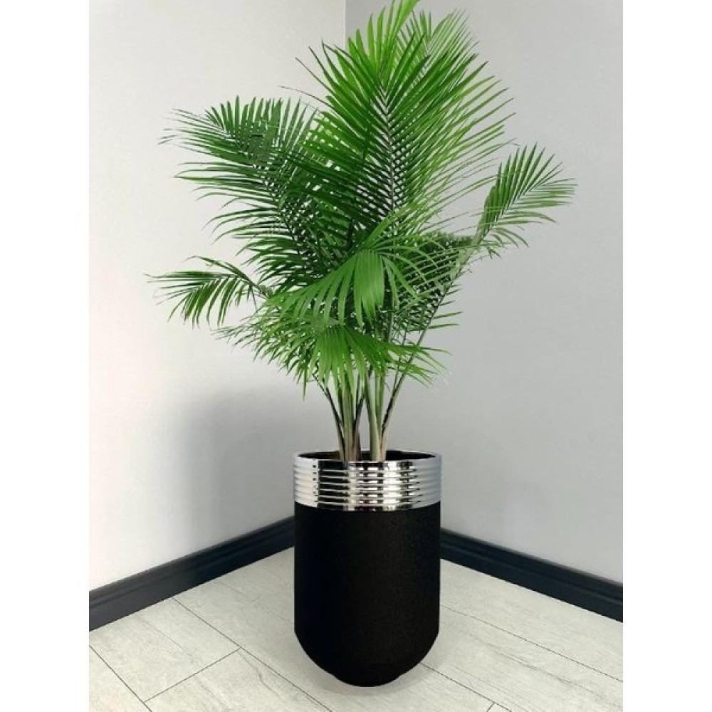 Evden İste Elegant Dekoratif Krom Darbuka Siyah Saksı 60 cm Oto Boyaları Fiyatı