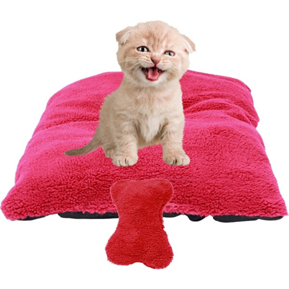 Evene Kedi Yatağı Evcil Hayvan Kedi Minderi 50X35 cm Evcil Hayvan Minder - Kırmızı - Küçük Evcil Hayvan Ürünleri Fiyatı