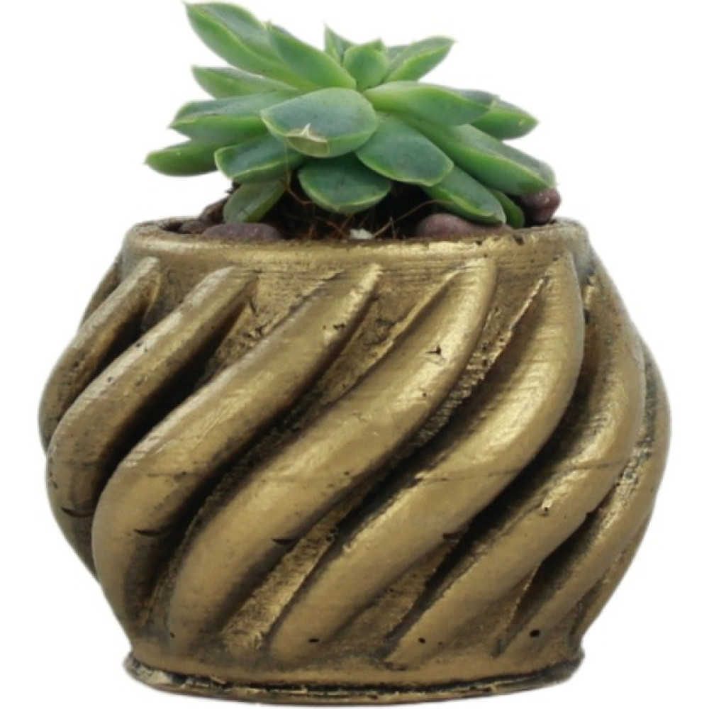 Evene Mini Çiçek Saksı Küçük Sukulent Kaktüs Saksısı Kalın Çizgili Spiral Model - Gold Saksı ve Aksesuarları Fiyatı