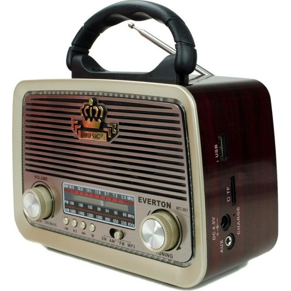 Everton Rt 301 Radyo - Kahverengi Oto Boyaları Fiyatı
