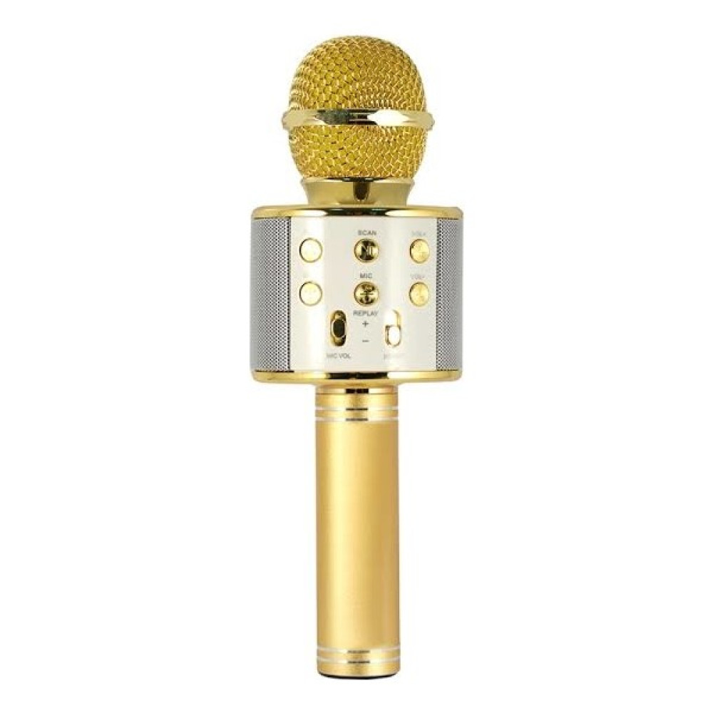 Evervox EVR KRK 02 Karaoke Mikrofon Gold Müzik Aletleri Fiyatı