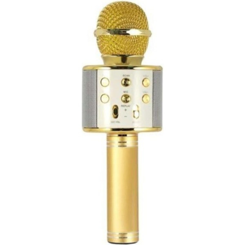 Evervox Karaoke Mikrofon Gold Müzik Aletleri Fiyatı