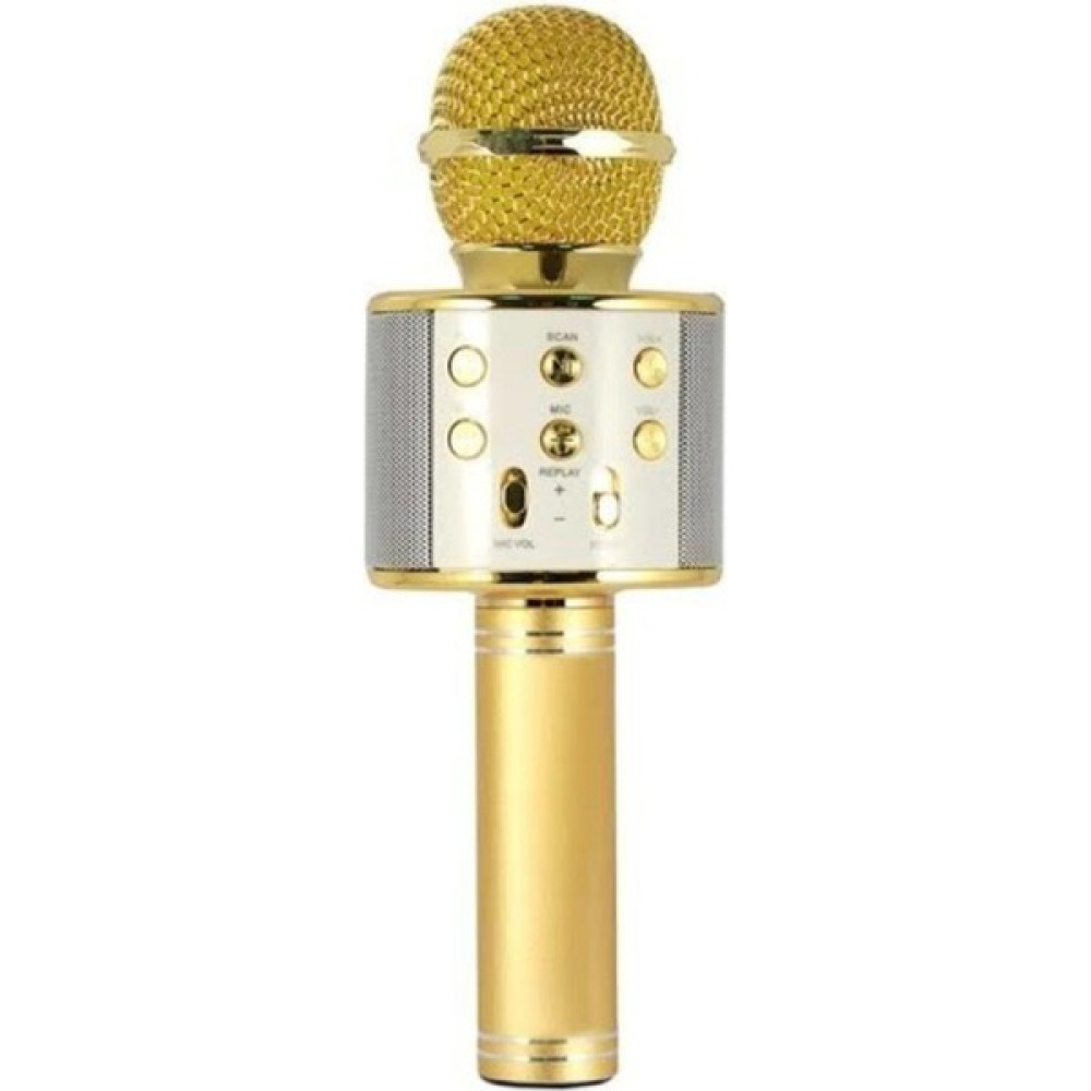 Evervox WS858 Evr Krk 02 Karaoke Mikrofon Bluetooth Aux USB Sd Kart Girişli Gold Müzik Aletleri Fiyatı