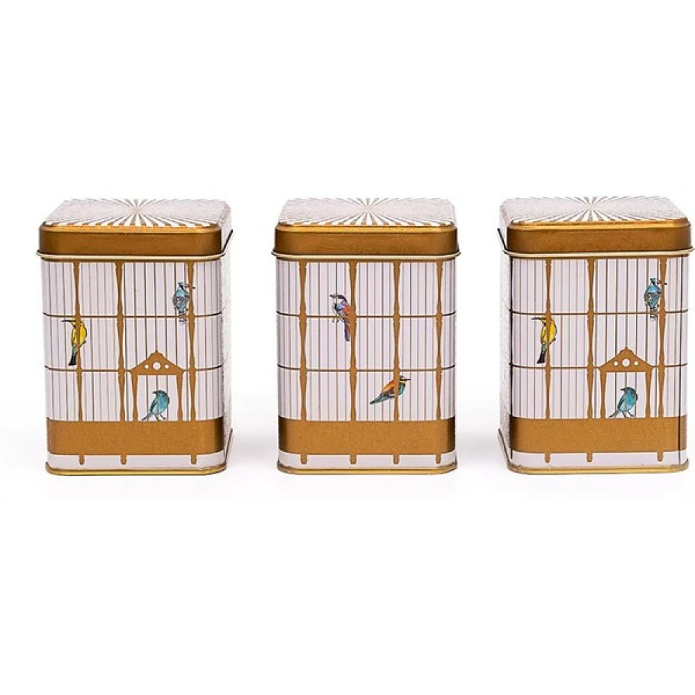 Evle Birdcage Kare Saklama Set Mini 3 Parça Saklama Kapları Fiyatı