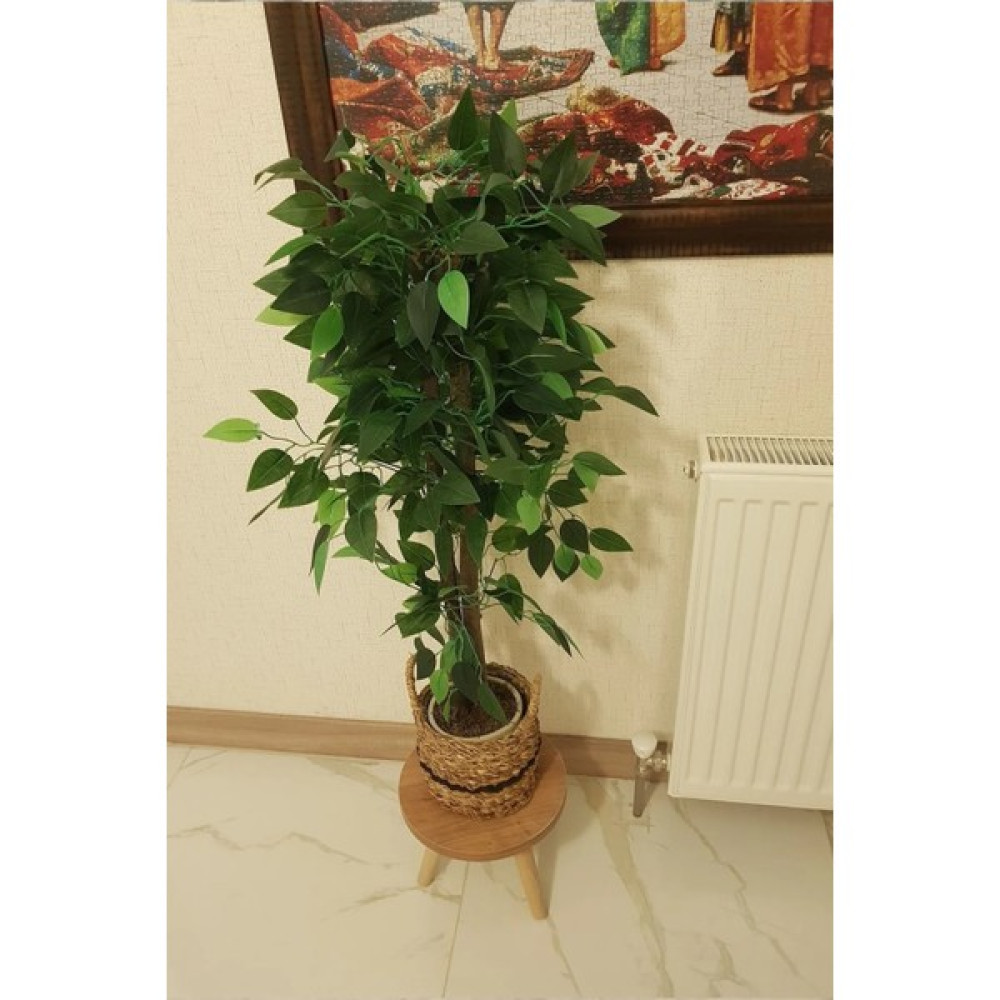 Evnalia Tekli Ahşap Ayaklı Çiçeklik Saksılık Standı Dekoratif Yan Sehpa 24 cm Çap Atlantik Çam Saksı ve Aksesuarları Fiyatı
