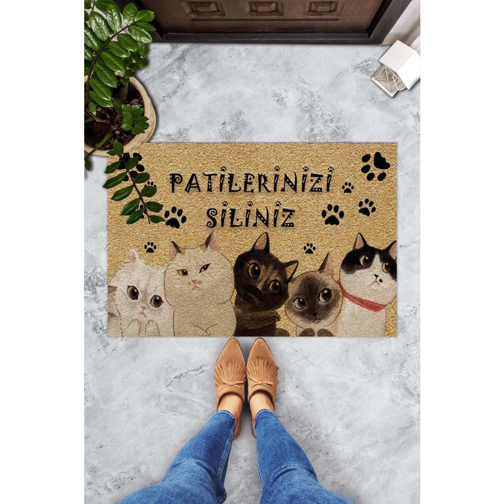 Evsebu Pienso Home Patilerinizi Siliniz Dekoratif Kapı Önü Paspası Paspas Fiyatı
