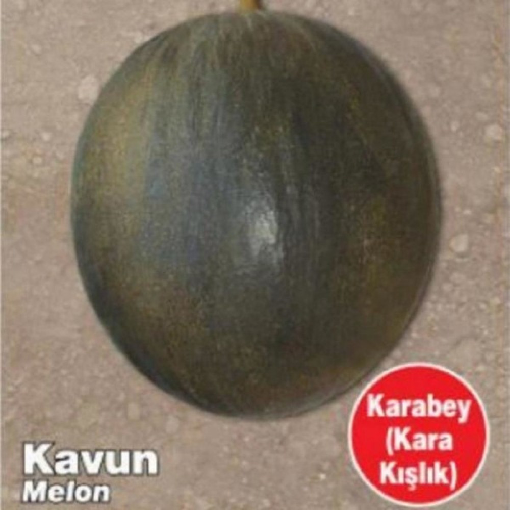 Evve Bahce Karabey Kışlık Kavun Tohumu (100 Tohum) Tohum Fiyatı