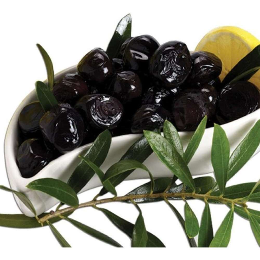 Evve Bahce Meyve Verme Yaşında Gemlik Zeytin Fidanı (1 Yaş) Fidan Fiyatı
