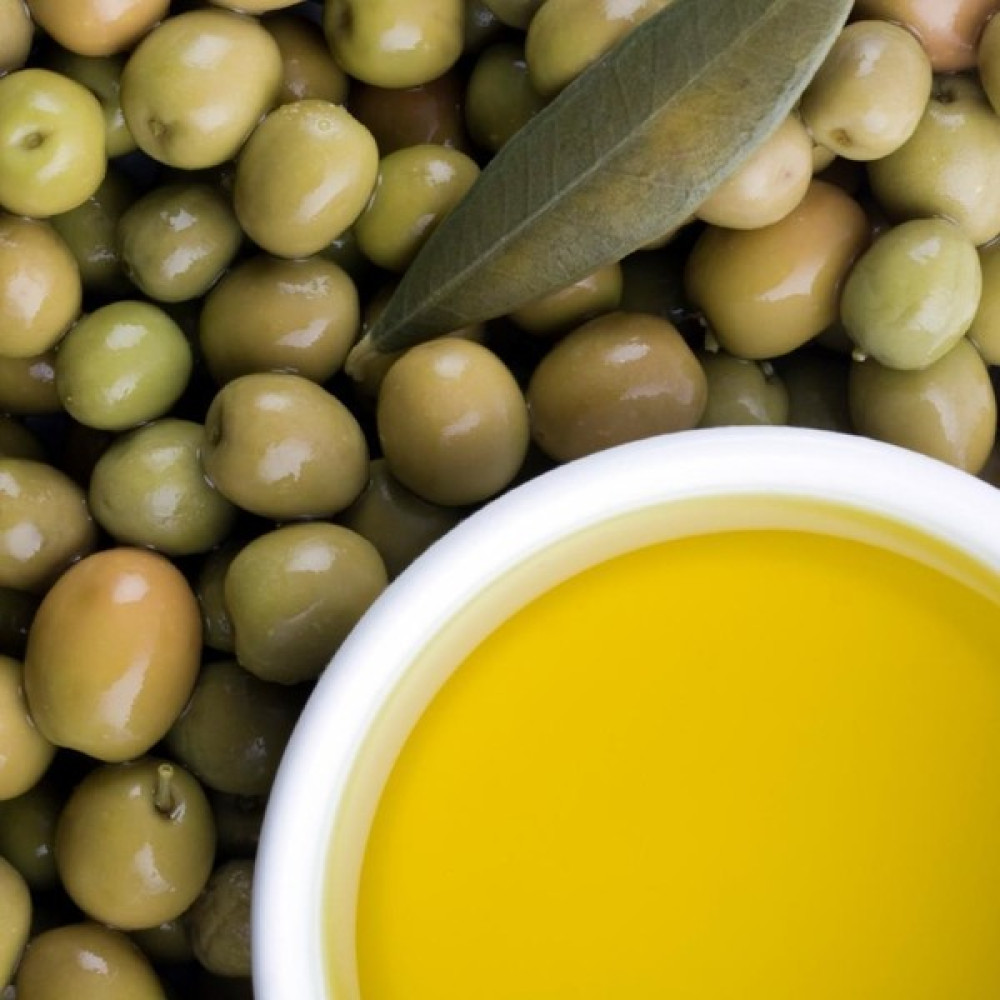 Evve Bahce Tüplü Ayvalık (Edremit) Zeytin Fidanı (1 Yaş) Fidan Fiyatı