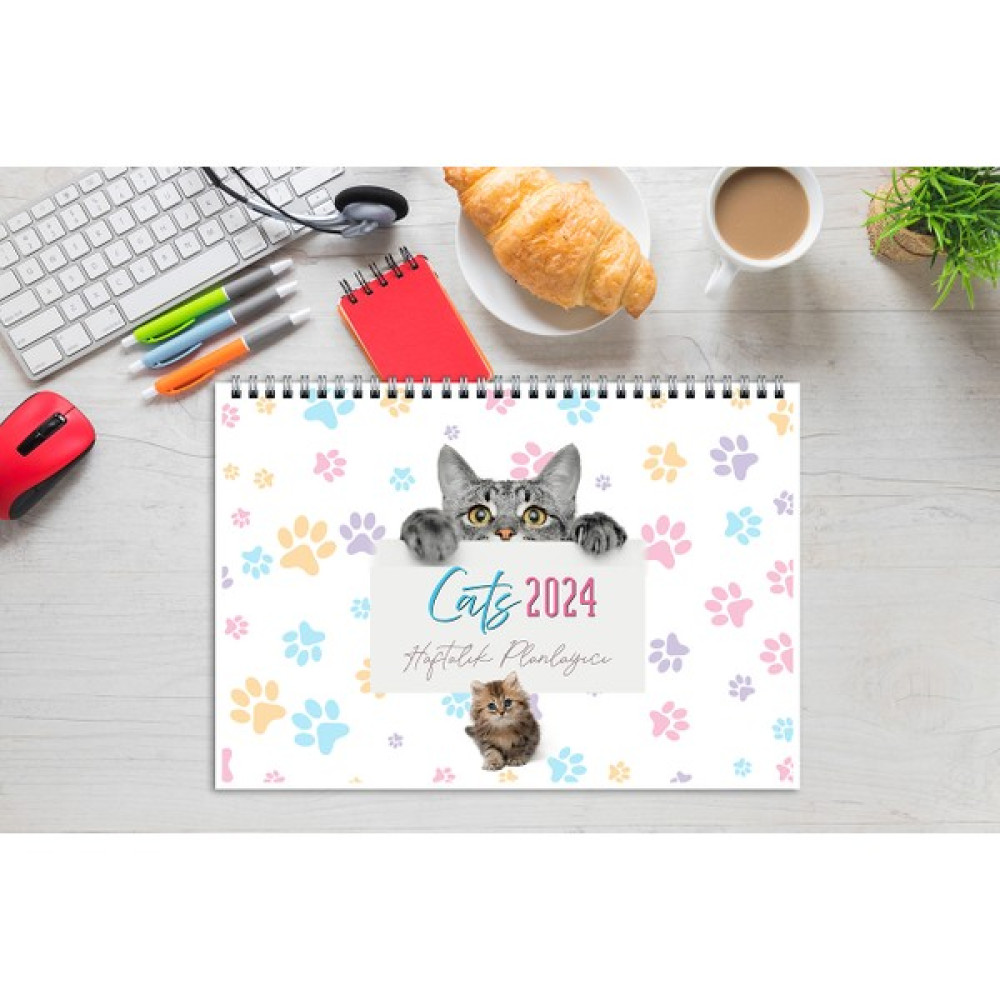 Express Planner 2024 Takvim A4 Ebat 53 Haftalık Planlayıcı Cats Takvim Fiyatı