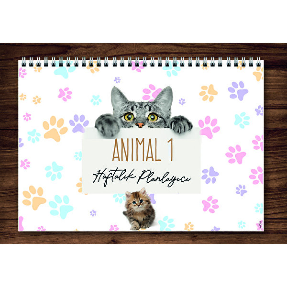 Express Planner A4 Haftalık Planlayıcı Cats Animal 1 Ajanda Fiyatı