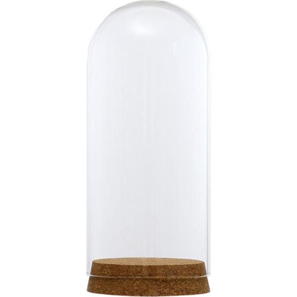 F Fityle Cam Kapak Cloche Jar Etli Teraryumlar Ekran Standı W / Ahşap Cork 8X18CM (Yurt Dışından) - Şeffaf Vazo Fiyatı