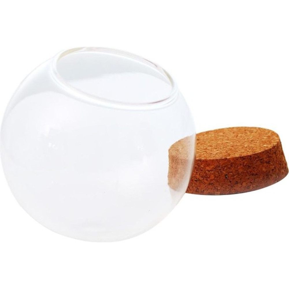 F Fityle Cam Küre Kapak Etli Bitki Çiçek Konteyner Dıy Microlandscape 12 cm (Yurt Dışından) - Şeffaf Vazo Fiyatı