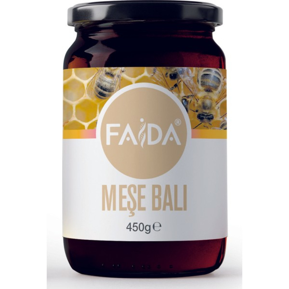 Faida Meşe Balı 450 gr Oto Boyaları Fiyatı