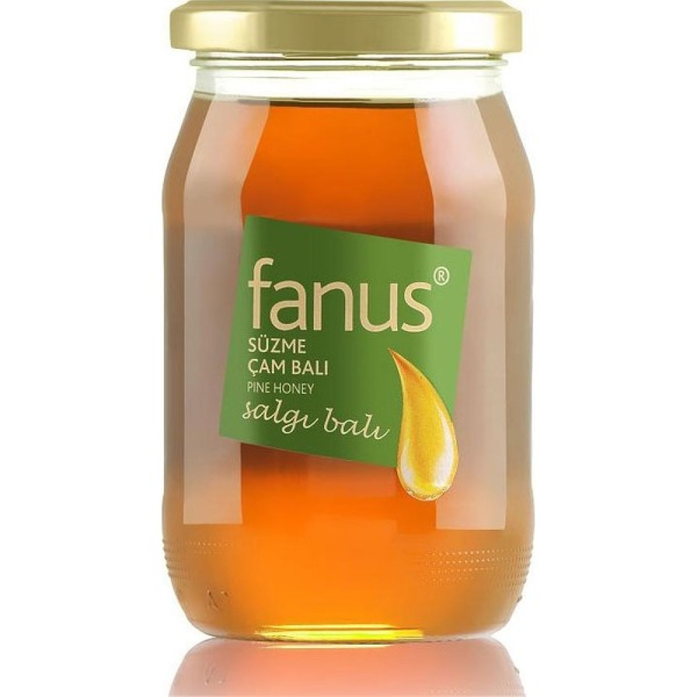 Fanus Çam Balı 460 gr Oto Boyaları Fiyatı